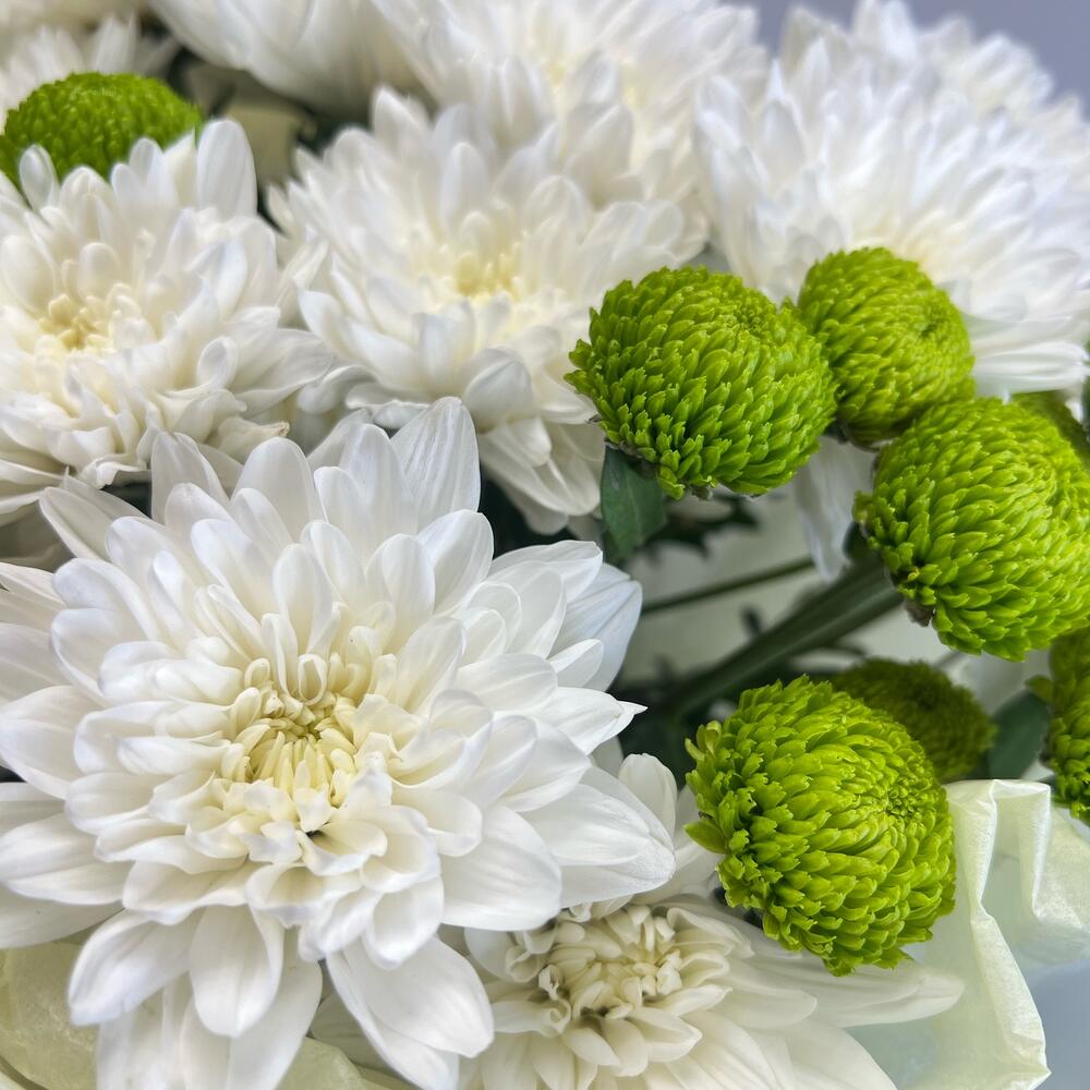 Эксклюзивный букет «Филин Грин» – сочетание белых и зеленых хризантем Усолье-Сибирское Иркутская область