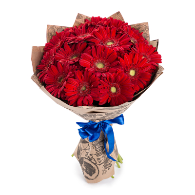 Яркий букет из 15 красных гербер – воплощение страсти и жизнерадостности Усолье-Сибирское Иркутская область