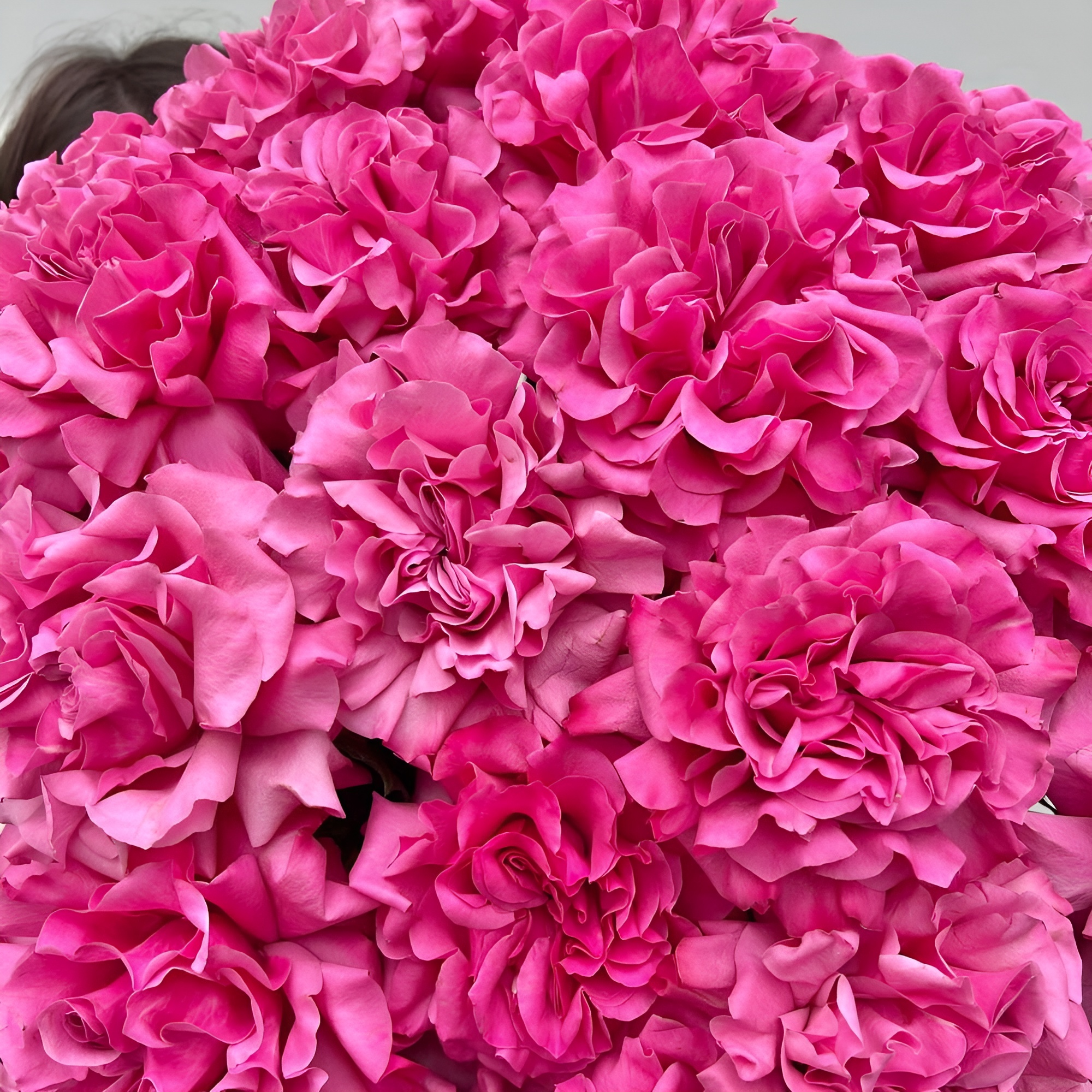 Роскошный букет из пионовидных роз – королевский подарок Усолье-Сибирское Иркутская область