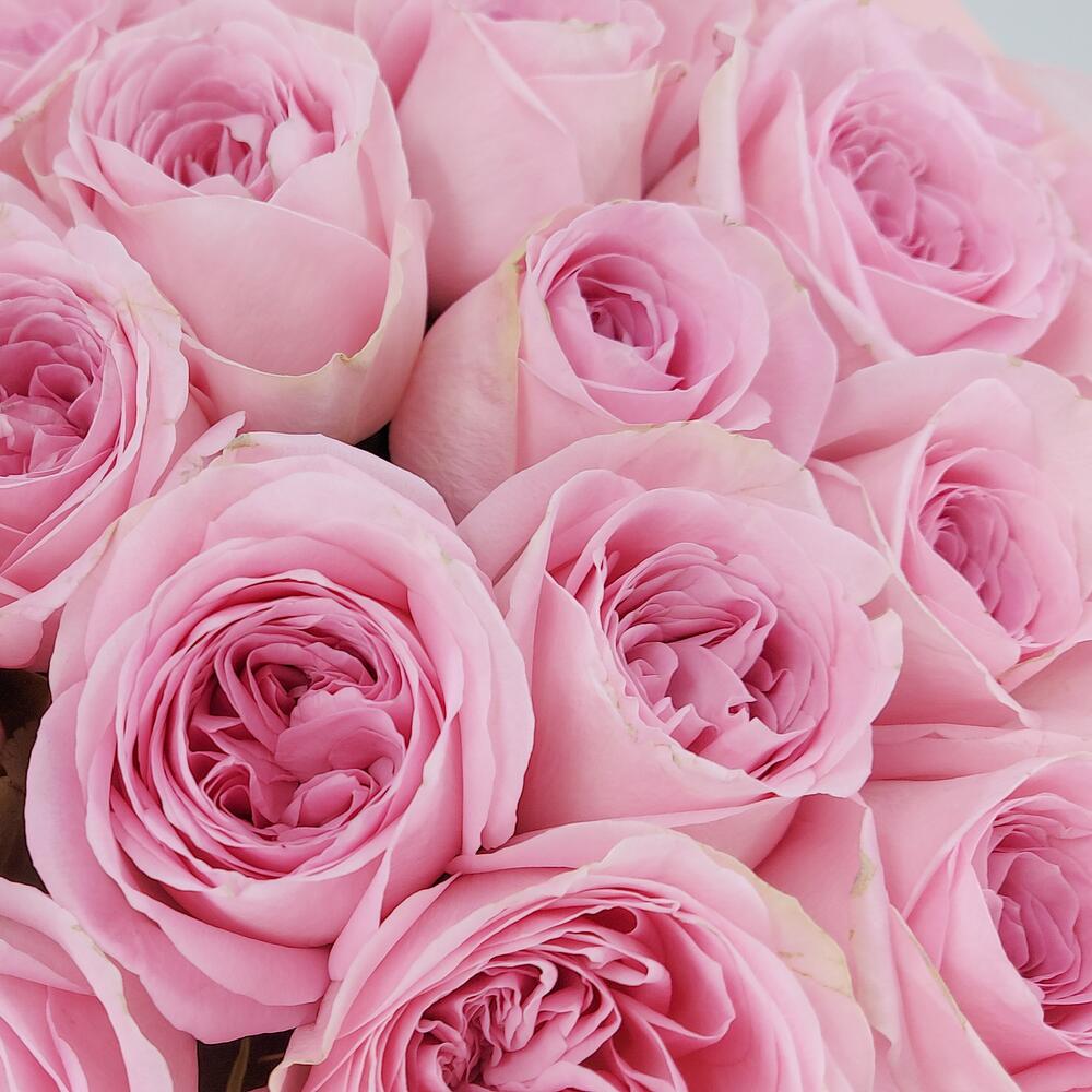 Букет из нежно-розовых роз – элегантность в каждом лепестке Усолье-Сибирское Иркутская область