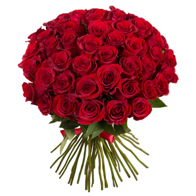 Букет «О, Шарман!» – 51 роскошная эквадорская роза Усолье-Сибирское Иркутская область
