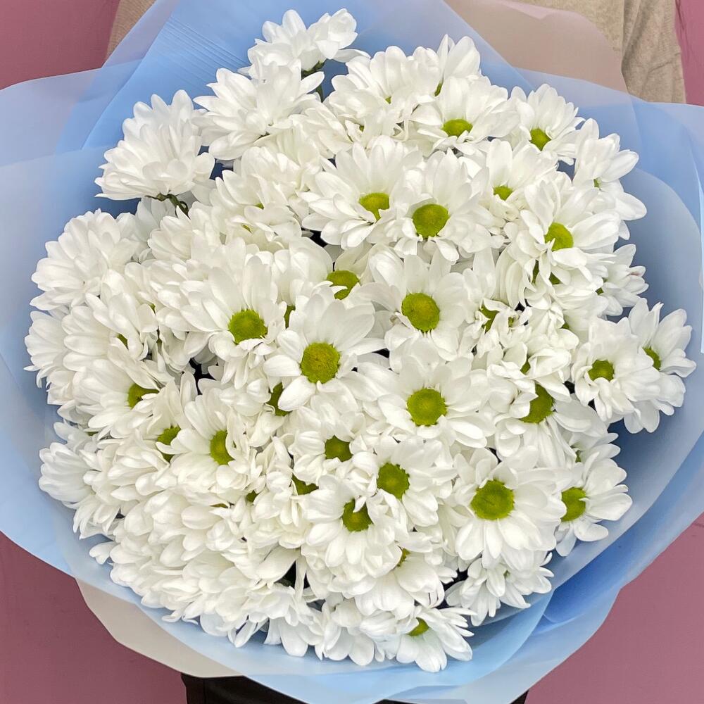 Букет «Ромашковое поле» – свежесть белых хризантем Усолье-Сибирское Иркутская область