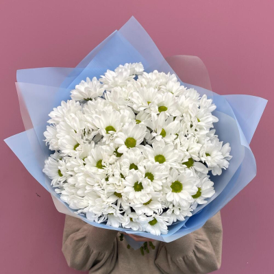 Букет «Ромашковое поле» – свежесть белых хризантем Усолье-Сибирское Иркутская область