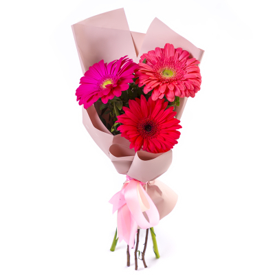 Яркий букет из 3 разноцветных гербер – маленькое чудо в ваших руках Усолье-Сибирское Иркутская область