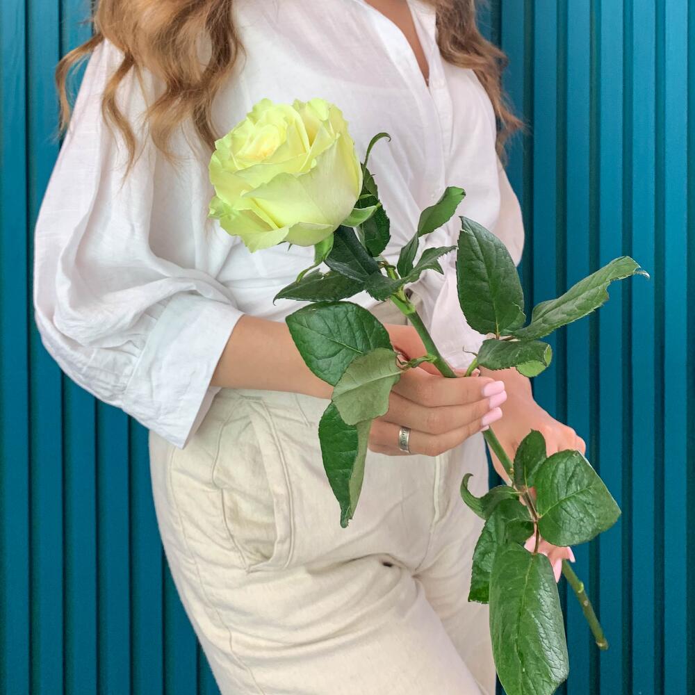 Комплимент из белой эквадорской розы – элегантность в каждом лепестке Усолье-Сибирское Иркутская область