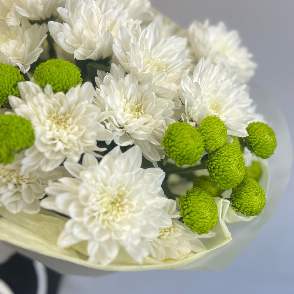 Эксклюзивный букет «Филин Грин» – сочетание белых и зеленых хризантем Усолье-Сибирское Иркутская область