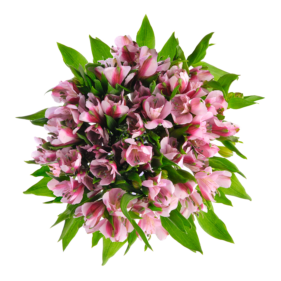 Букет «Хорошее настроение» из розовых альстромерий – солнечный подарок Усолье-Сибирское Иркутская область