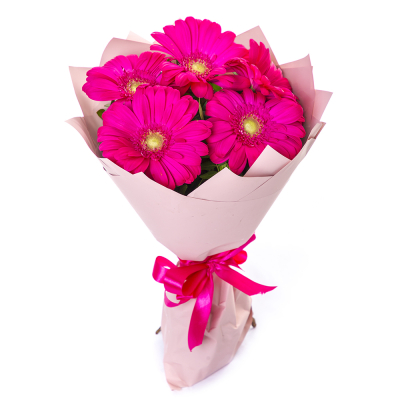Букет из 5 малиновых гербер – сочный акцент вашего подарка Усолье-Сибирское Иркутская область